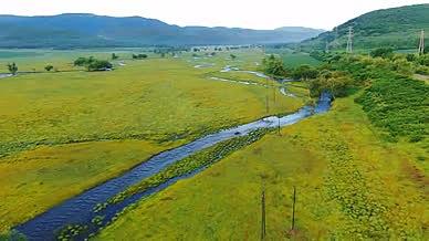 4K秋天的草原河流视频的预览图